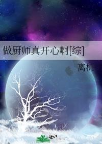 做厨师真开心啊综格格党