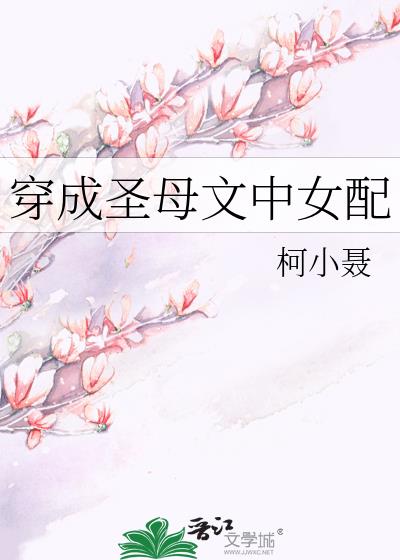 穿成圣母文中女配小说