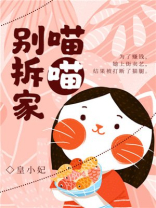 喵喵别拆家