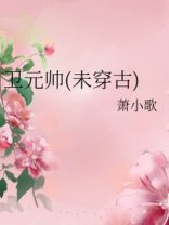 卫元帅(未穿古)