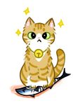 猫猫我啊,养两脚兽捏