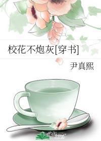 校花不炮灰格格党