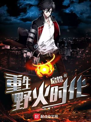 重生野火时代下载