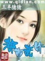 女总裁的王牌高手下载