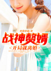 战神赘婿开局就离婚