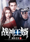 战神王婿西玛拉雅有声小说