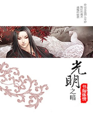 光明之暗