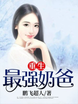 重生最强奶爸鹏飞超人