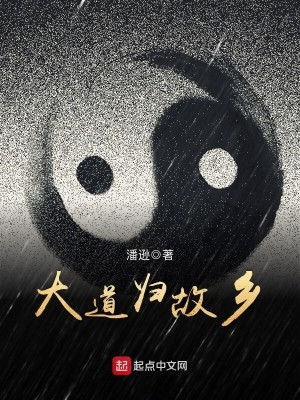 大道归故乡女主几个