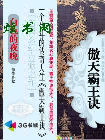 傲天霸王诀