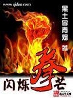 闪烁拳芒txt免费