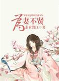 为妻不贤梨花瘦免费阅读