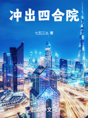 情满四合院原著