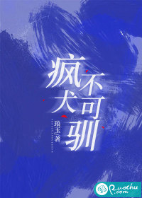 疯犬不可驯小说在线阅读