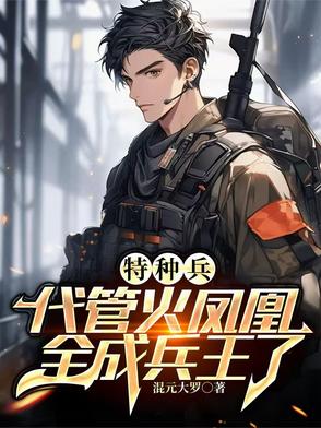 特种兵之叶寸心系列小说