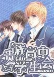 贵族高中学生会男主