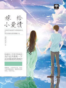 大都市小爱情电视剧全集