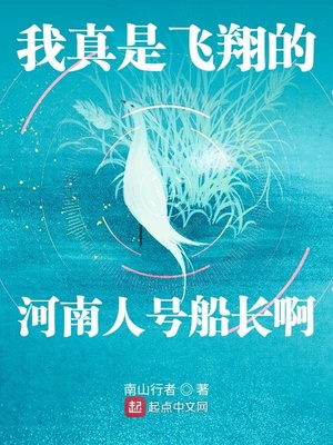 我真是飞翔的河南人号船长啊下载