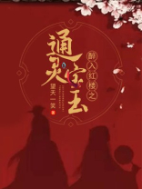 醉入红楼之通灵宝玉百度网盘