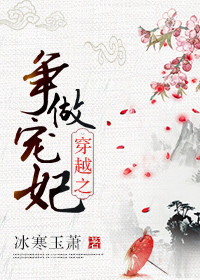 穿越之争做宠妃晋江