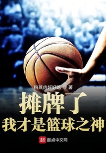 我才是篮球之神TXT