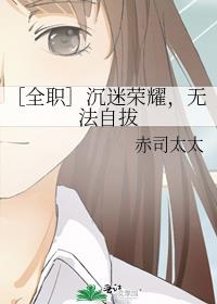 [全职]沉迷荣耀,无法自拔 赤司太太