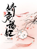 娇宠福妃 小说