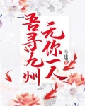 吾寻九州,无你一人