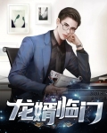 龙婿临门