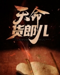天命货郎儿