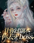 让你过副本，你去灭boss？