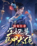 盛宠狂妻:王妃是马甲大佬