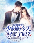 闪婚成宠:少奶奶今天回家了吗?