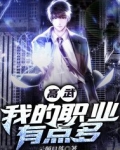 高武:我的职业有点多