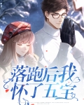 落跑后我怀了五宝