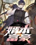 富豪女婿免费阅读
