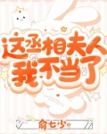 这丞相夫人我不当了