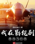 我在影视剧里当飞行员