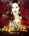 极品全能高手