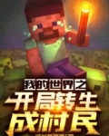 我的世界之开局转生成村民