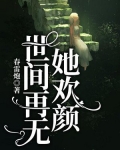 世间再无她欢颜