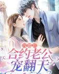 闪婚后合约老公宠翻天