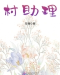 村助理