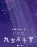 斗罗之九宝有斗罗