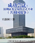 成功尝试:深圳证券交易所正式开业