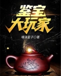 鉴宝大玩家