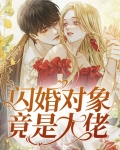 闪婚对象竟是大佬
