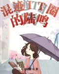 混迹IT圈的陆鸣