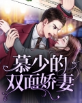慕少的双面娇妻