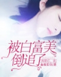 离婚后,我被白富美倒追了